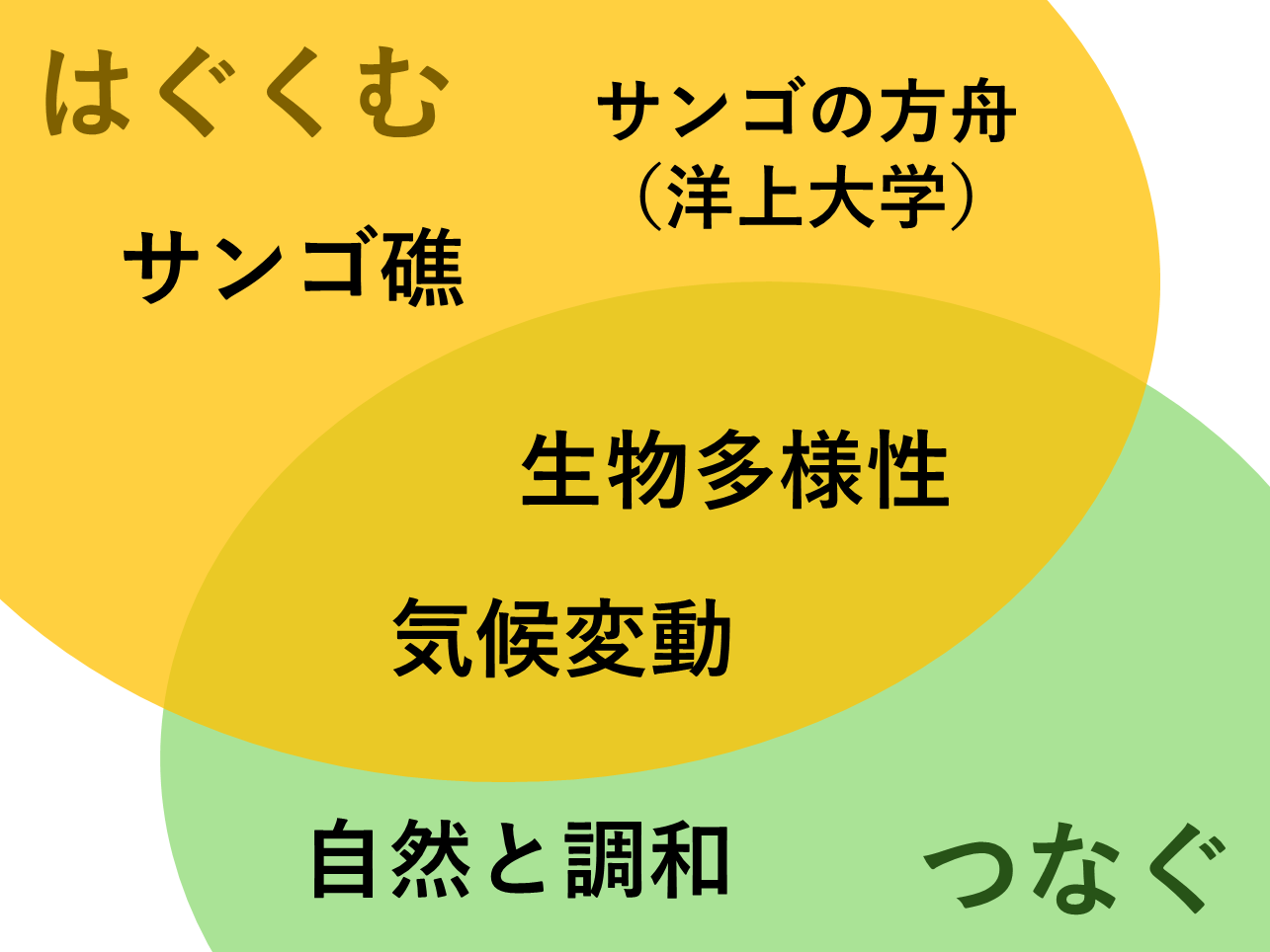 【提言】サンゴ礁が多様な自然を包み込みながら成長するように、地域と時代を超えてヒトと自然をつなぐサンゴの方舟（洋上大学）によって、世界中の独自の自然と文化が尊重され共栄する未来をつくる